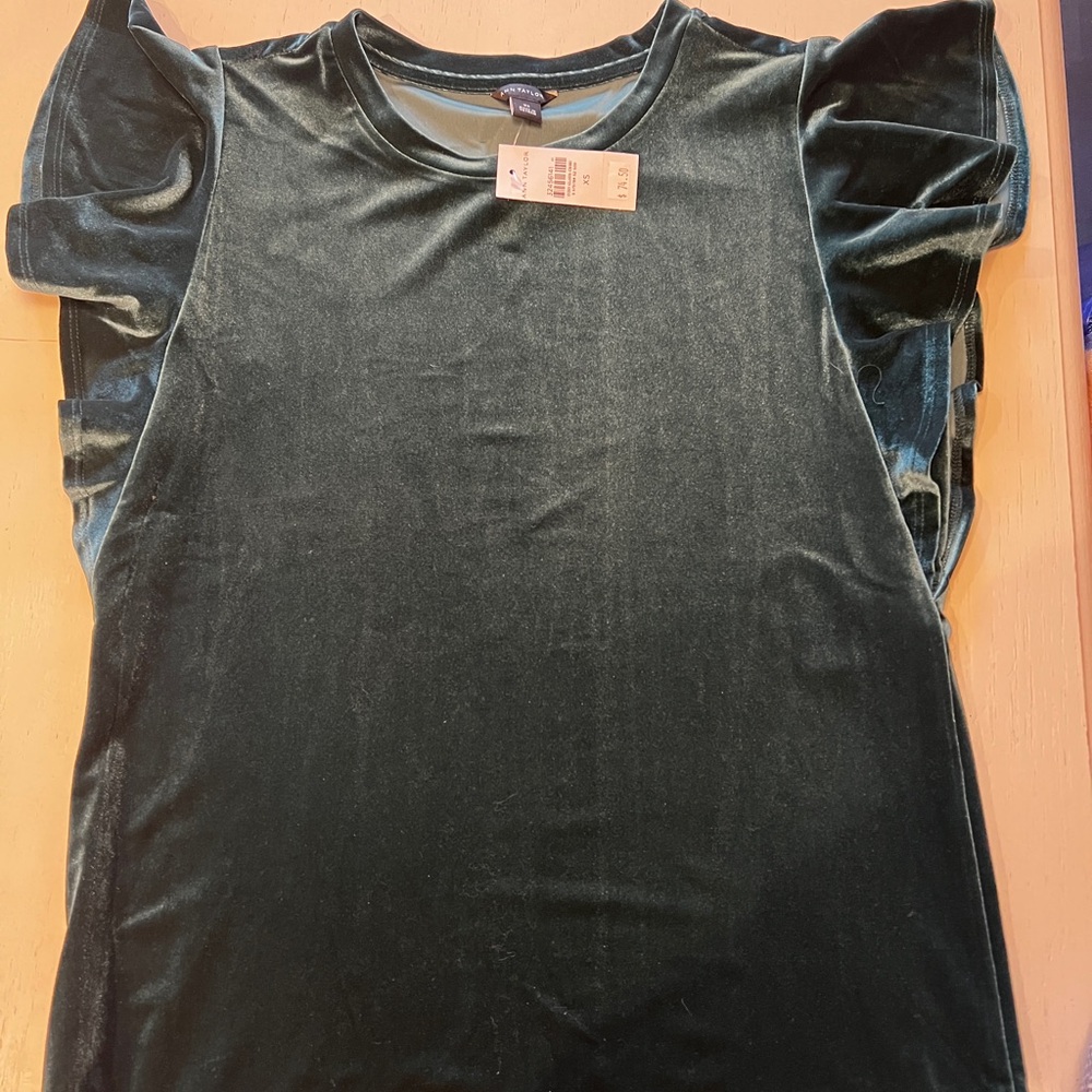 Ann Taylor Velvet Green Top